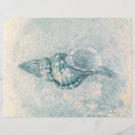 Zee Shell Blauwgroen Beige  Ocean Beach Textuur