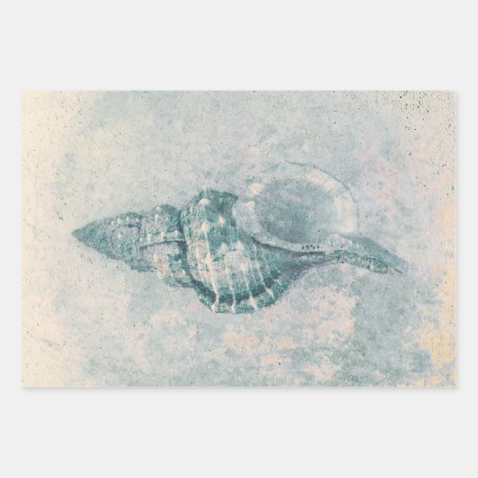 Zee Shell Blauwgroen Beige  Ocean Beach Textuur Inpakpapier Vel (Voorkant 3)