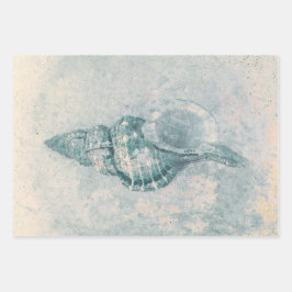 Zee Shell Blauwgroen Beige  Ocean Beach Textuur Inpakpapier Vel