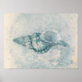 Zee Shell Blauwgroen Beige  Ocean Beach Textuur Poster (Voorkant)