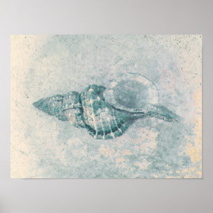 Zee Shell Blauwgroen Beige  Ocean Beach Textuur Poster