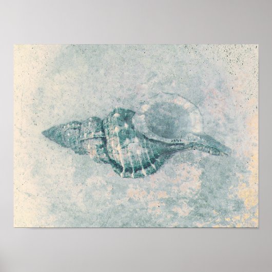 Zee Shell Blauwgroen Beige  Ocean Beach Textuur Poster (Voorkant)