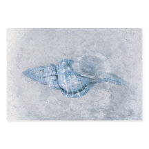 Zee Shell Blue  Antiek Ocean Beach Texture