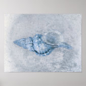 Zee Shell Blue  Antiek Ocean Beach Texture Poster