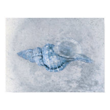 Zee Shell Blue  Antiek Ocean Beach Texture