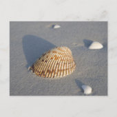 Zee Shell Briefkaart (Voorkant)