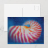 Zee Shell Briefkaart (Voorkant / Achterkant)