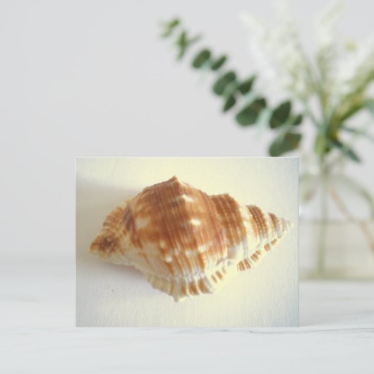 Zee Shell Briefkaart (Staand voorkant)