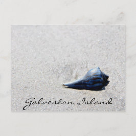 Zee Shell Briefkaart Galveston Island
