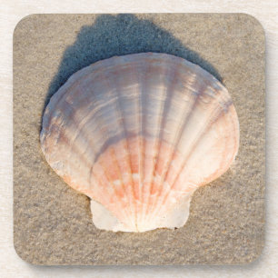 Zee Shell dat op zandstrand wetend Drankjes Onderzetter