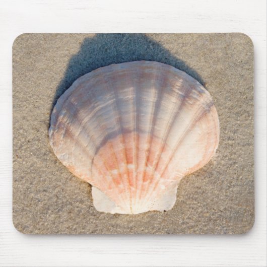 Zee Shell dat op zandstrand wetend Muismat (Voorkant)