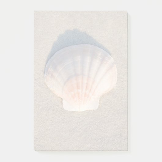 Zee Shell dat op zandstrand wetend Post-it® Notes (Voorkant)