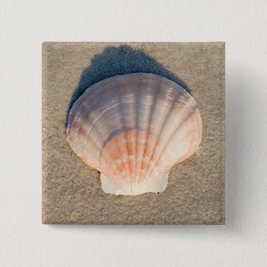 Zee Shell dat op zandstrand wetend Vierkante Button 5,1 Cm (Voorkant)
