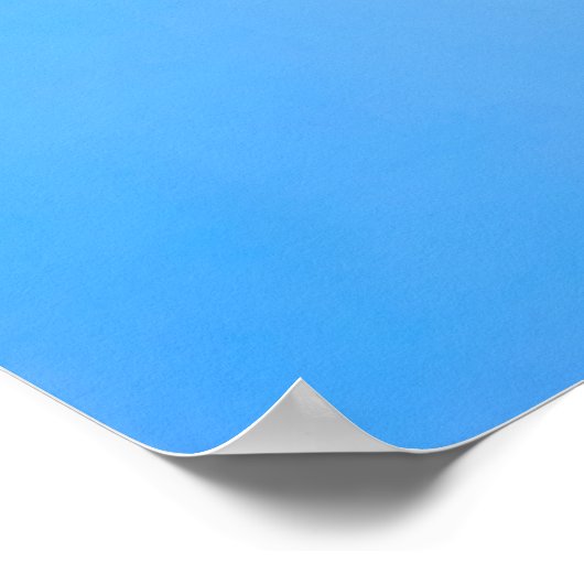 Zee Shell Drop in Water Poster (Hoek)