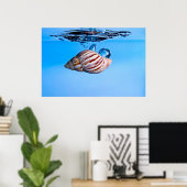 Zee Shell Drop in Water Poster (Thuiskantoor)