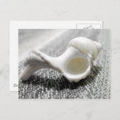 Zee Shell foto zwart-wit Briefkaart (Voorkant / Achterkant)
