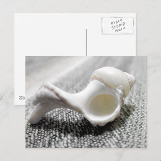 Zee Shell foto zwart-wit Briefkaart (Voorkant / Achterkant)