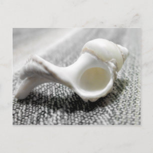 Zee Shell foto zwart-wit Briefkaart