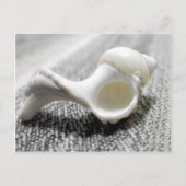 Zee Shell foto zwart-wit Briefkaart (Voorkant)