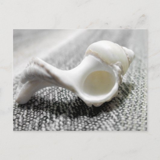 Zee Shell foto zwart-wit Briefkaart (Voorkant)