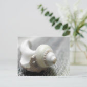 Zee Shell foto zwart-wit Briefkaart (Staand voorkant)