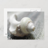 Zee Shell foto zwart-wit Briefkaart (Voorkant / Achterkant)