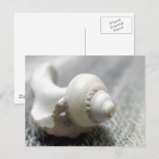 Zee Shell foto zwart-wit Briefkaart (Voorkant / Achterkant)