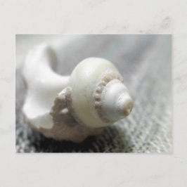 Zee Shell foto zwart-wit Briefkaart