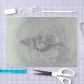 Zee Shell Grey  Ocean Beach Textuur Tissuepapier (Craft)