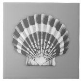 Zee Shell - houtskool grijs en wit Tegeltje (Voorkant)
