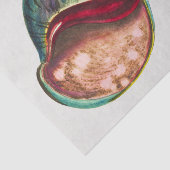 Zee Shell Illustratie door George Shaw Tissuepapier (Detail)