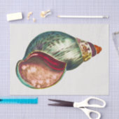 Zee Shell Illustratie door George Shaw Tissuepapier (Craft)