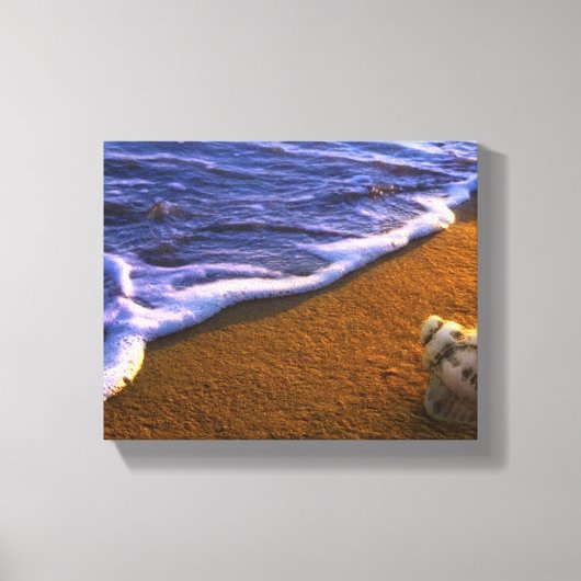 Zee Shell in Surf Zone Canvas Afdruk (Voorkant)