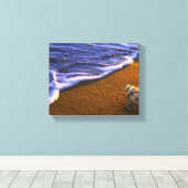 Zee Shell in Surf Zone Canvas Afdruk (Insitu (Houten vloer))