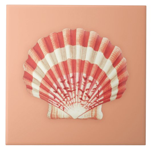 Zee Shell - koraal sinaasappel en wit Tegeltje (Voorkant)