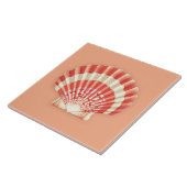 Zee Shell - koraal sinaasappel en wit Tegeltje (Zijkant)