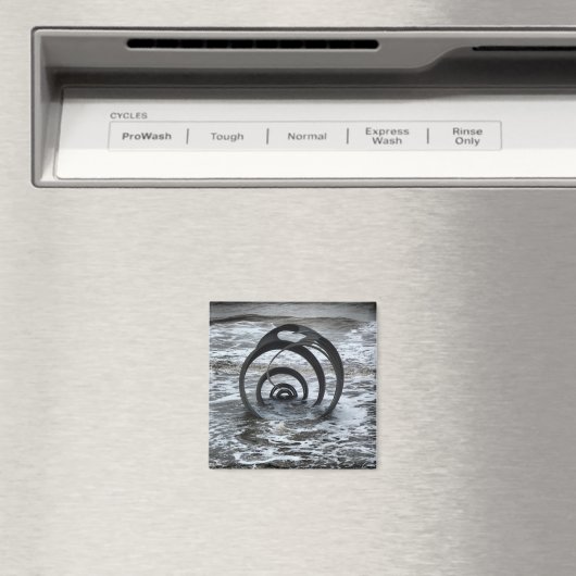 Zee Shell Magnet (Insitu (Vaatwasser))