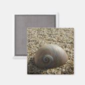 Zee Shell Magnet (Voorkant / Achterkant)