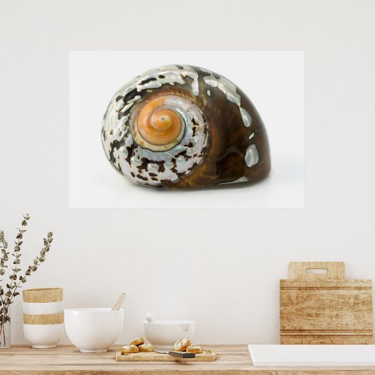 Zee Shell moeder van Pearl Art Poster (Keuken)