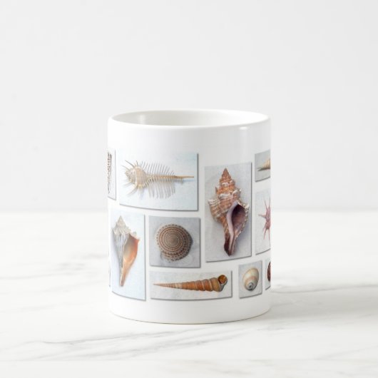 Zee Shell Mok (Center)