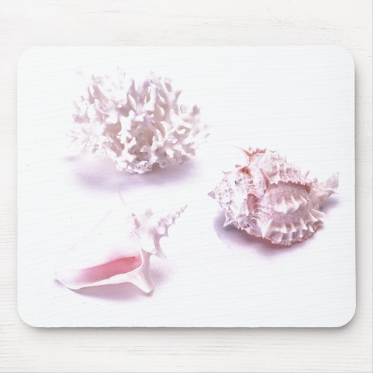 Zee Shell Mousepad Muismat (Voorkant)