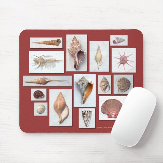 Zee Shell Muismat (Met muis)