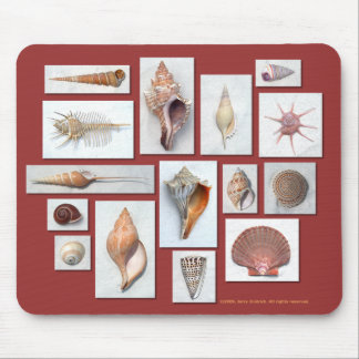 Zee Shell Muismat