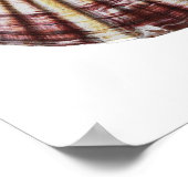 Zee Shell no.2 Natural History Art Print (Hoek)