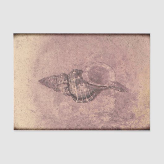 Zee Shell  Ocean Beach Grunge Texture Tissuepapier (Voorkant)