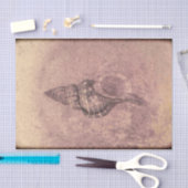 Zee Shell  Ocean Beach Grunge Texture Tissuepapier (Craft)