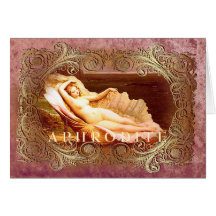 Zee Shell - Ocean Beach Shells