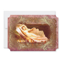 Zee Shell - Ocean Beach Shells