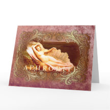 Zee Shell - Ocean Beach Shells