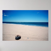 Zee Shell Poster (Voorkant)